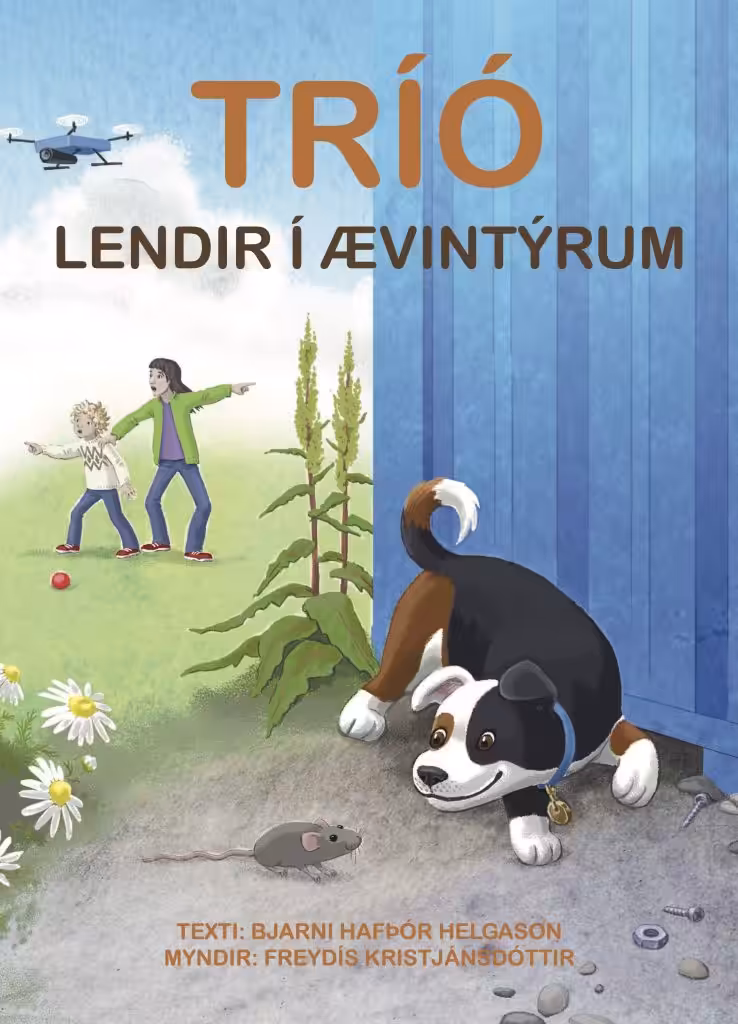 Tríó lendir í ævintýrum