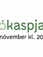 Bokaspjall-2026